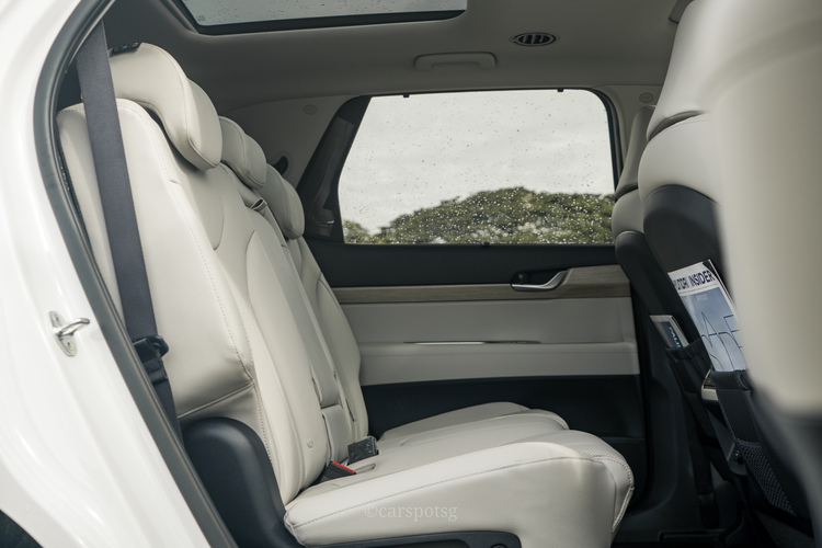Hyundai Palisade rear seat side view
